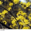 상천리 마을회관 이미지