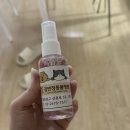 김앤정동물병원
