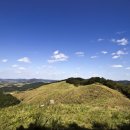 삼화목장 이미지