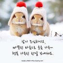 소소한행복