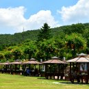 뿌리공원 이미지