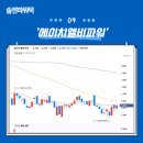 에이치엘비에너지 주식회사 이미지