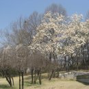 주 酒소 이미지