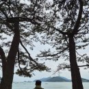 약산갤러리