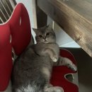 가오검도관 이미지