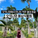오키나와 동남식물원 일본에서 카피바라를 만날 수 있는곳
