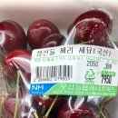 신혼여행_라스베가스 오쇼/라스베가스스트립/핫앤쥬시/허쉬초콜릿월드/m&amp;m/코카콜라스토어/라스베가스사인