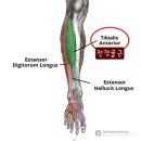 J0519 네이버블로그