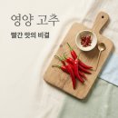 평화농장 | 영양 고추: 2TV 생생정보가 주목한 청정 자연의 맛! 평화농장 &amp; 선희네