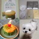 믹스짐 - 수원시 권선구 호매실로104번길 24-70 | 강아지 생일 케이크 만들기 바비온 파티케이크믹스 후기 댕댕이 반응 리얼 후기