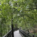 개화산 자락길 이미지