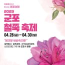 산본로431번길 21 일원 | 2023 군포 철쭉축제, 일정 / 주차 / 현재 개화 상황 알려드려요!