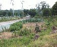고천동 115-3 이미지