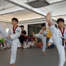 청송태권도장 이미지