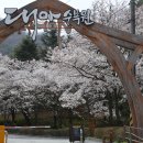 대아환경