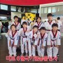 용인대 열정 태권도장 이미지