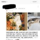 신천동물병원 | [잠실새내/신천]동물병원 추천 비추천