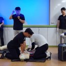 탄금초 이미지