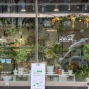 성남대로 997번길 이미지