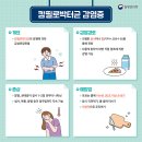 [안전보건관리]3월 질병관리청 카드뉴스 (백일해, 캄필로박터균 감염증, 수족구, 노로바이러스 감염증, 인플루엔자) 이미지