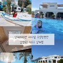 위고고남해 이미지