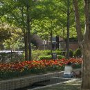 평택고여사집냉면 | 연희동 평양냉면 평택 고여사집 웨이팅 주차 방문후기