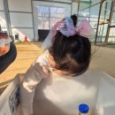 농장닭계란오리직판장 | 서울근교 포천 우리농장으로 주말 나들이