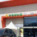 경남세탁 | [밀양/용평동] 경남 글램핑 추천 &#39;해브솔 글램핑&#39; 내돈내산 후기