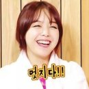 몽글 이미지