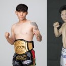 챔피언마트 이미지