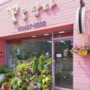 꽃을담다 - 광양시 와룡길 33 | 🎀 의왕 꽃집 꽃을담다 방문 후기