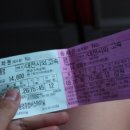 삼호버스터미널 이미지