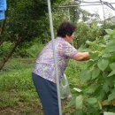 풍남농장 이미지