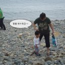 오야붕 Daum카페