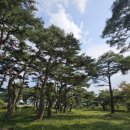 삼산 소공원 이미지