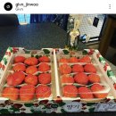 (주)지니큐브