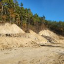 cocos(코코스) 이미지