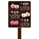 우드사인 이미지