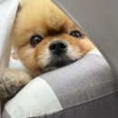 창원동물병원 이미지