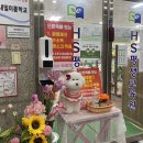 보람애견미용 이미지