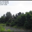 신촌동-3 이미지