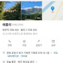 기북농장 | 포항 기북 카페 애플리｜편백숲 미로 있는 포항 아이랑 가볼 만한 곳 대형 정원 카페 내 돈 내산 후기