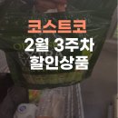 (주)대웅 파나시아점 | 코스트코 부산점 2026년 2월 셋째 주 할인 상품