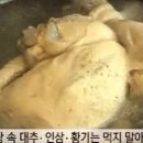명불허전삼계탕