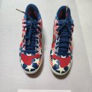 나이키 알파 허라취 엘리트2 USA 지급 이미지