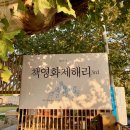 해리솔루션