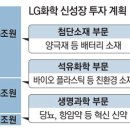 '10조 투자' LG화학…신약 배터리소재 M&A 30건 추진한다 이미지