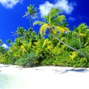 남태평양 이미지