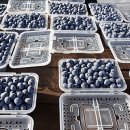 목골농장 이미지