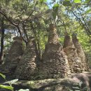 가납1리 이미지